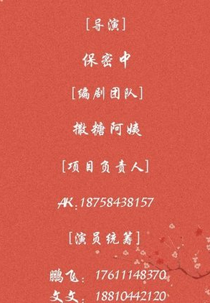 Hua Xin Wang Ye Gong Lue (花心王爷攻略)