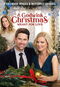 A Godwink Christmas: Meant for Love (A Godwink Christmas: Meant for Love)