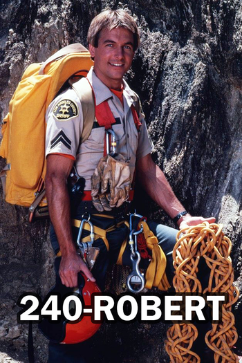 Poster de Franquia 240-Robert (1979)