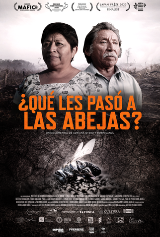 Poster 1 de Filme O que Aconteceu com as Abelhas? (2018)