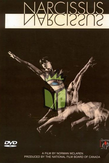 Poster de Curta Narcissus (1983)