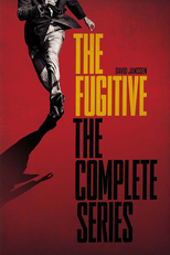 The Fugitive (The Fugitive)