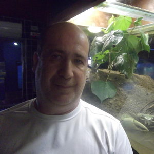 Foto de perfil de gustavo nepomuceno