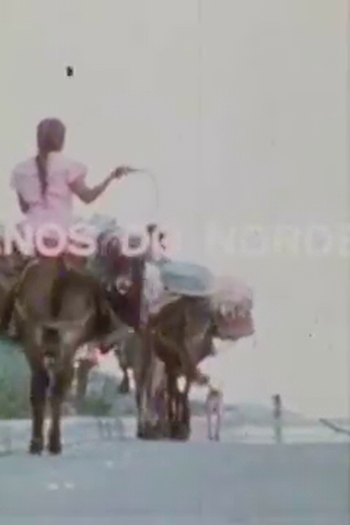 Poster de Filme Ciganos do Nordeste (1977)