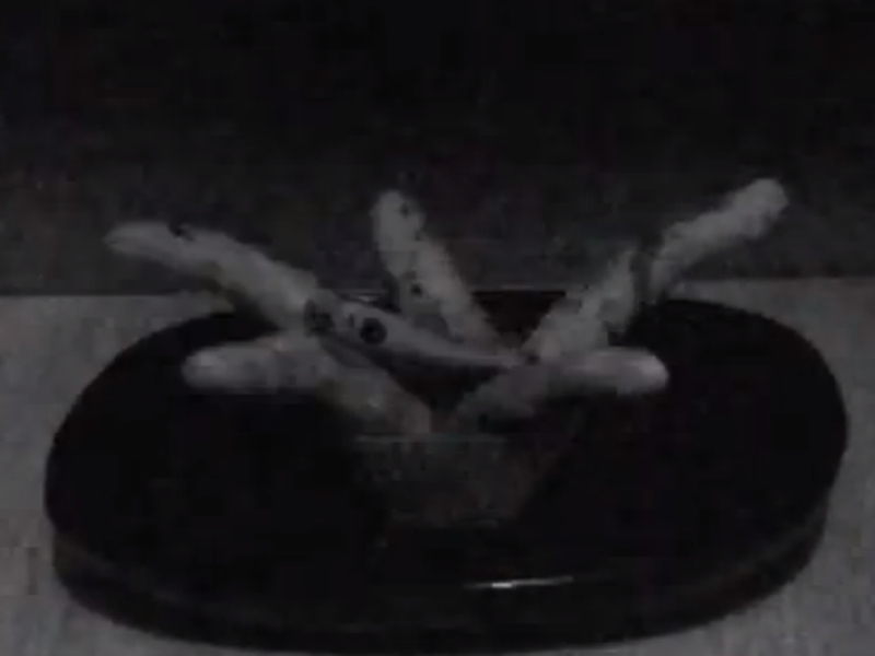 Foto 1 de Como Fazer um Cupcake