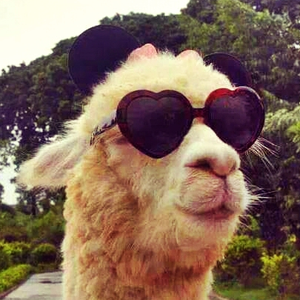 Foto de perfil de Bruna G S