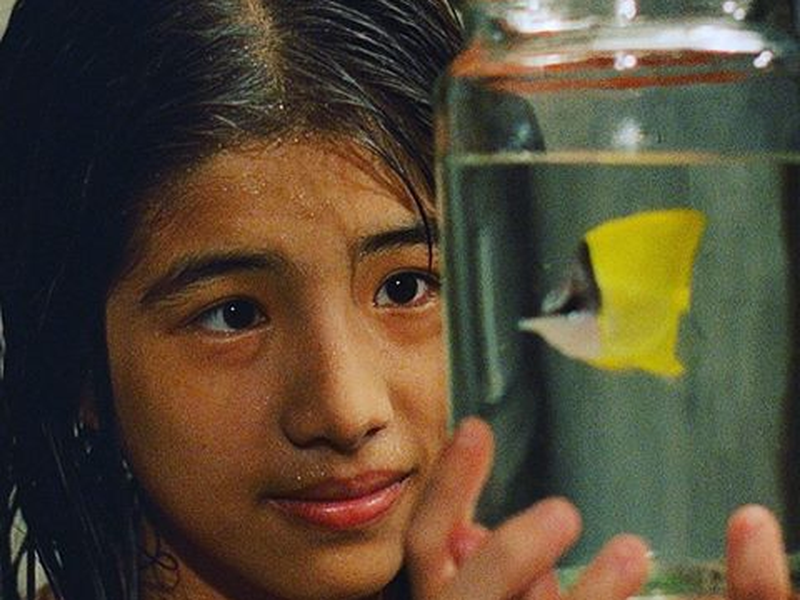 Foto 3 de Tropical Fish