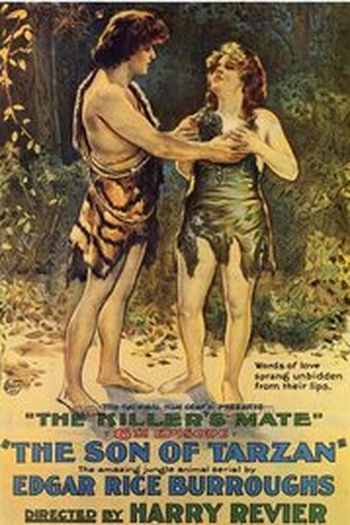 Poster de Filme O Filho de Tarzan (1920)