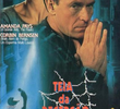 Teia da Decepção