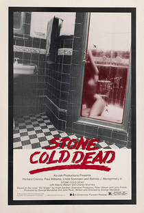 A Morte Fria - Poster / Capa / Cartaz - Oficial 1