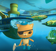 The Hungry Pilot Fish