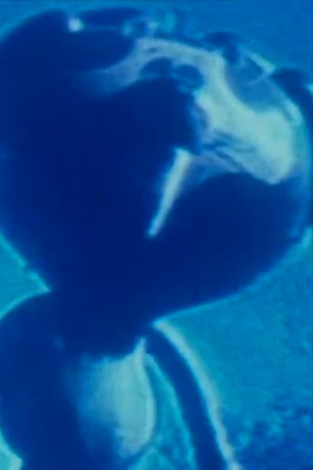 Poster de Curta Journaux 1983-1985 (1985)