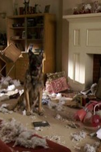 Poster de Episódio Hound Dog (2009)