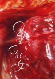 Nascimento e Maternidade (Tarachime)