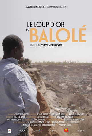 Poster 1 de Filme Balolé, The Golden Wolf (2019)