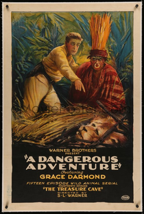 A Dangerous Adventure - Poster / Capa / Cartaz - Oficial 1