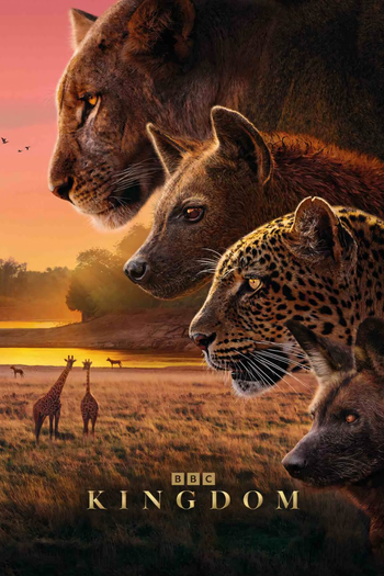 Poster de Franquia Kingdom (2025) (2025)