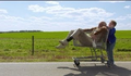 Comédia bizarra real em trailer de “Jackass Presents: Bad Grandpa”