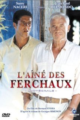 Poster 1 de TV Ferchaux (2001)