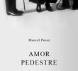 Amor Pedestre