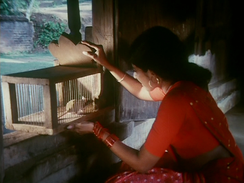 Foto 1 de A Ratoeira