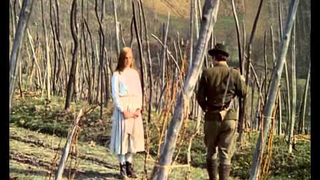 Trailer: Breza, 1967, Ante Babaja