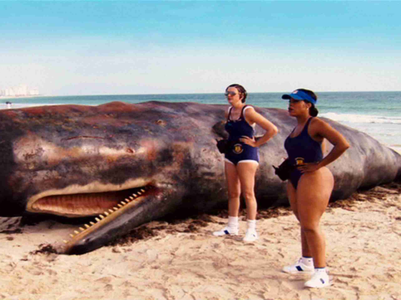 Foto 11 de Reno 911!: Miami