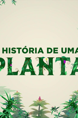 A História de uma Planta (1ª temporada) (A História de uma Planta (1ª temporada))