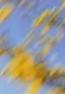 I Want to See How You See (I Want to See How You See (or a portrait of Cornelia Providoli))