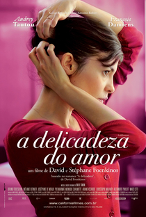 A Delicadeza do Amor - Poster / Capa / Cartaz - Oficial 1