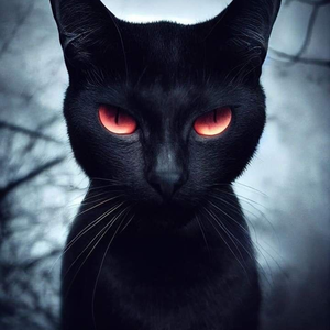 Foto de perfil de marla