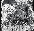 Worms
