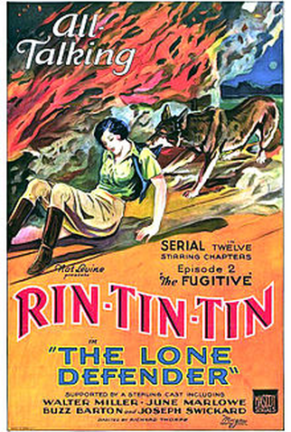 Poster 1 de Filme The Lone Defender (1930)