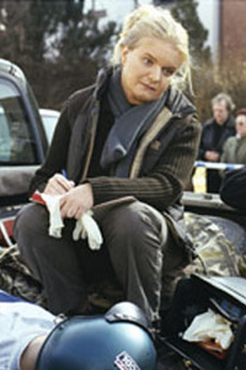 Poster de Episódio De vergelding (2004)