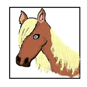 Foto de perfil de mattcedar