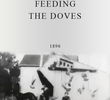 Feeding the Doves