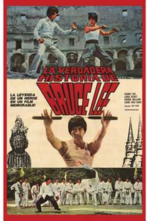 Bruce Lee: O Homem e o Mito - Poster / Capa / Cartaz - Oficial 2