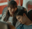 5회