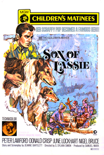 O Filho de Lassie - Poster / Capa / Cartaz - Oficial 2