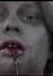 Mariscos e Miolos (Mariscos e Miolos)