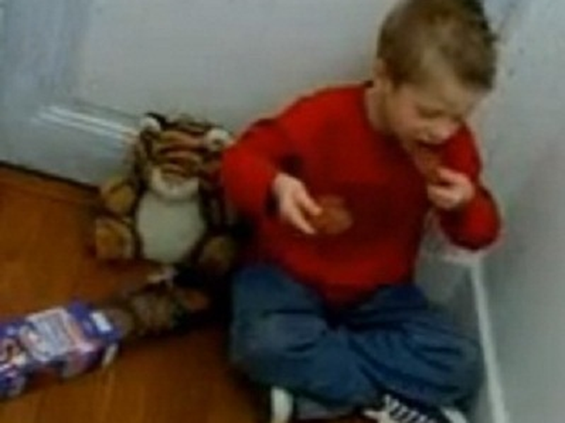 Foto 1 de Calvin e Haroldo