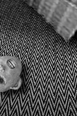 THE ADVENTURES OF ALAN R. (THE ADVENTURES OF ALAN R.)