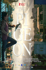 O Pombo - Um Refúgio para Sobreviver (Güvercin)