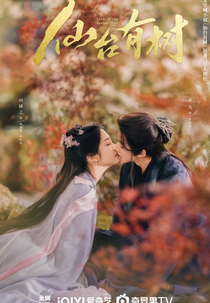 Love of the Divine Tree (仙台有树)