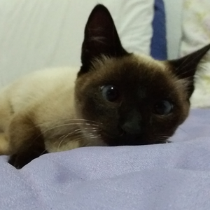 Foto de perfil de Natalia