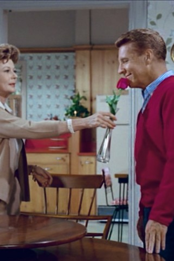 Poster de Episódio A Rose a Day (1965)