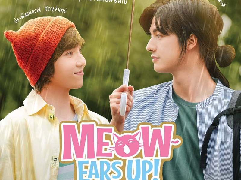 Foto 1 de Meow Ears Up