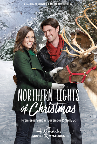 Poster 1 de Filme Luzes de Natal no Norte (2018)
