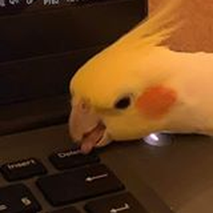 Foto de perfil de Thiago Benetti