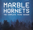 Marble Hornets (3ª Temporada)